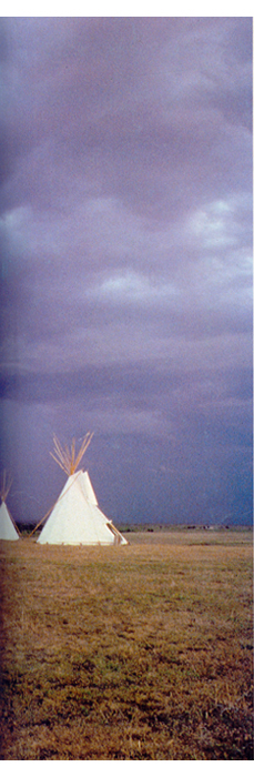 WhiteBuffaloLodge